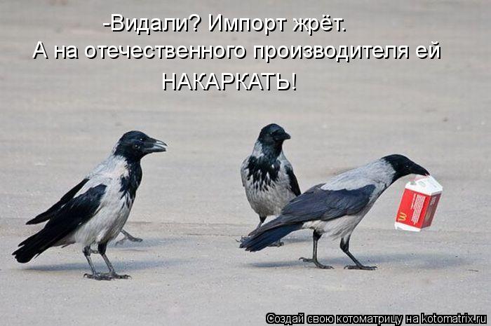 -Видали? Импорт жрёт. А на отечественного производителя ей НАКАРКАТЬ!... Котоматрица: -Видали? Импорт жрёт. А на отечественного производителя ей НАКАРКАТЬ!