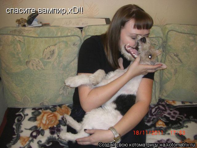 спасите вампир,xD!!... Котоматрица: спасите вампир,xD!!