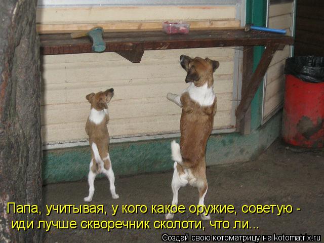 Папа, учитывая, у кого какое оружие, советую - иди лучше скворечник сколоти, что ли...... Котоматрица: Папа, учитывая, у кого какое оружие, советую - иди лучше скворечник сколоти, что ли...