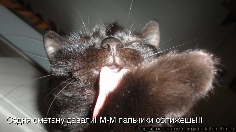 Сёдня сметану давали! М-М пальчики оближешь!!!... Котоматрица: Сёдня сметану давали! М-М пальчики оближешь!!!