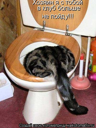 Котоматрица: Хозяин я с тобой в клуб больше не пойду!!!