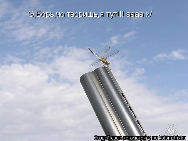 Котоматрица: Э,Борь,чо творишь,я тут!!! аааа х/