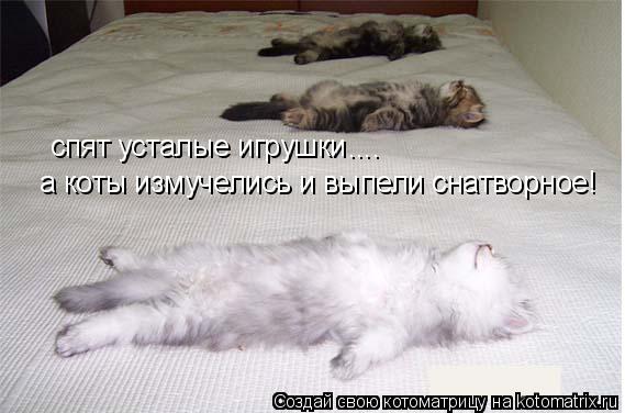 Котоматрица: спят усталые игрушки а коты измучелись и выпели снатворное! ....