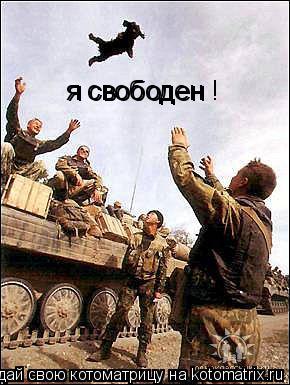Котоматрица: я свободен  я свободен !