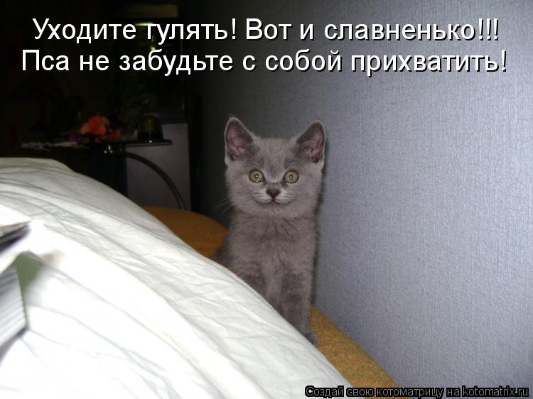 Котоматрица: Уходите гулять! Вот и славненько!!! Пса не забудьте с собой прихватить!