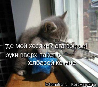 Котоматрица: где мой хозяин? ага вон он! руки вверх пакет с  колбасой ко мне