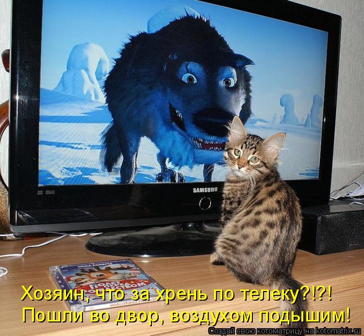 Котоматрица: Пошли во двор, воздухом подышим! Хозяин, что за хрень по телеку?!?!
