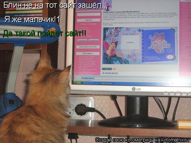 Котоматрица: Блин не на тот сайт зашёл,,, Я же мальчик!1 Да такой пойдёт сайт!!
