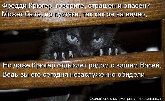 Котоматрица: Фредди Крюгер, говорите, страшен и опасен? Может быть, но пустяки, так как он на видео, Но даже Крюгер отдыхает рядом с вашим Васей, Ведь вы ег