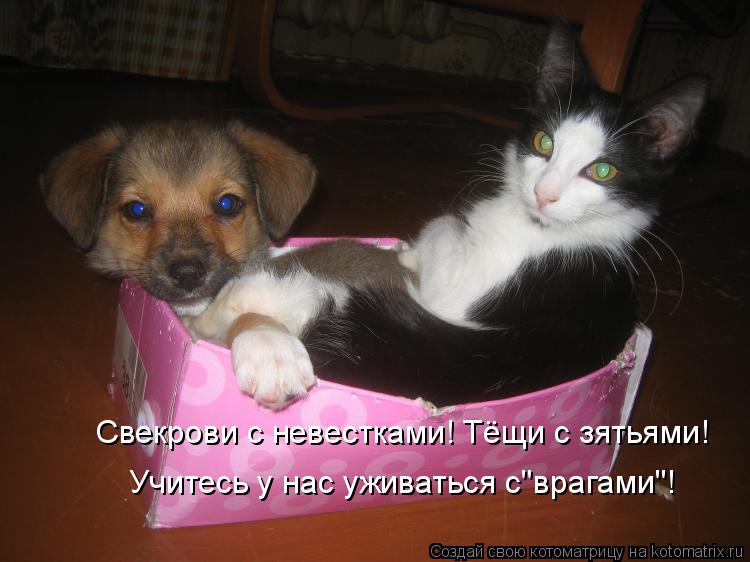 Посмеялся сам - поделись с другом!!!