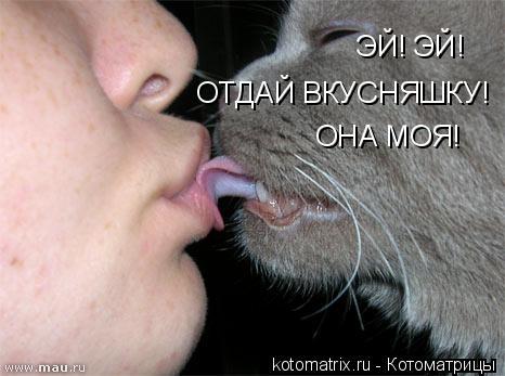 Котоматрица: ЭЙ! ЭЙ! ОТДАЙ ВКУСНЯШКУ! ОНА МОЯ!
