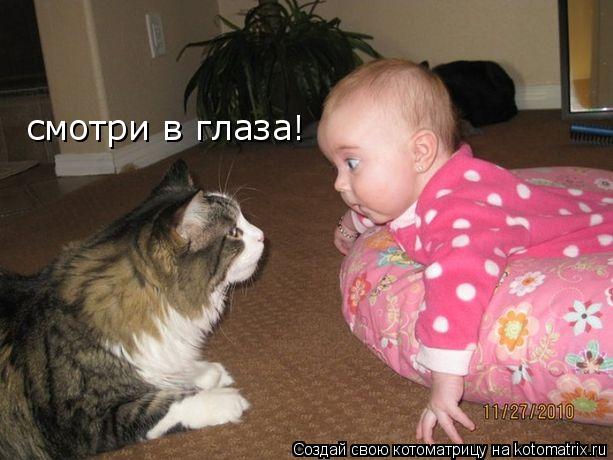 Котоматрица: смотри в глаза!
