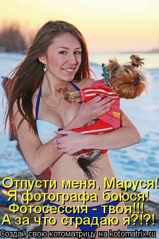 Котоматрица: Отпусти меня, Маруся! Я фотографа боюся! Фотосессия - твоя!!! А за что страдаю я?!?!