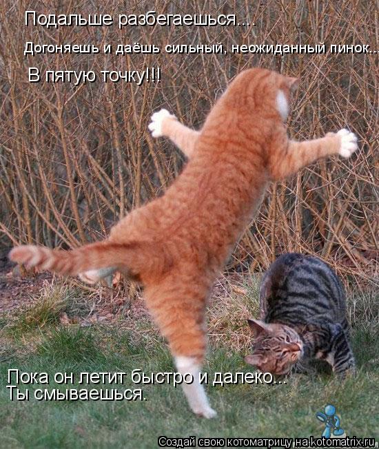 Котоматрица: Подальше разбегаешься.... Догоняешь и даёшь сильный, неожиданный пинок....  В пятую точку!!! Пока он летит быстро и далеко... Ты смываешься.