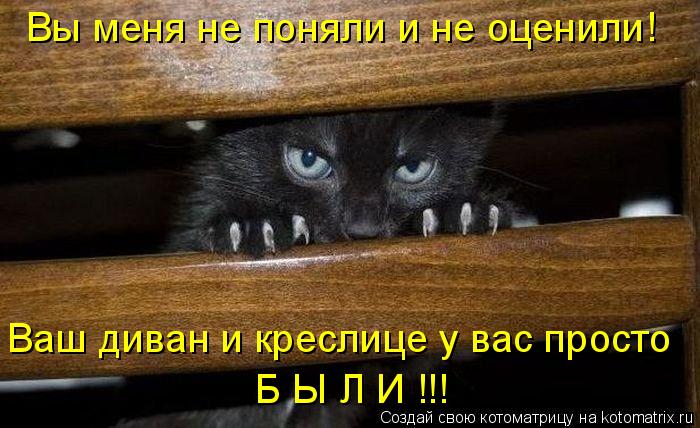 Котоматрица: Вы меня не поняли и не оценили! Ваш диван и креслице у вас просто Б Ы Л И !!!