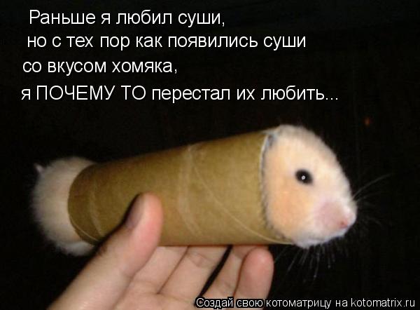 Котоматрица: Раньше я любил суши,  но с тех пор как появились суши со вкусом хомяка , я ПОЧЕМУ ТО перестал их любить...