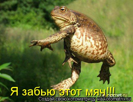 Котоматрица: Я забью этот мяч!!!