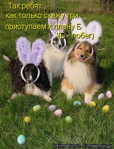 Котоматрица: Так ребят , как только скажу три приступаем к плану  приступаем к плану Б (Б - побег)