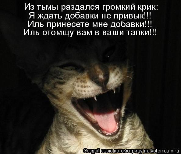 Котоматрица: Из тьмы раздался громкий крик: Я ждать добавки не привык!!! Иль принесете мне добавки!!! Иль отомщу вам в ваши тапки!!!