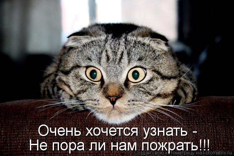 Не пора ли нам пожрать!!! Очень хочется узнать -... Котоматрица: Не пора ли нам пожрать!!! Очень хочется узнать -