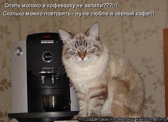 Котоматрица: Опять молоко в кофеварку не залили???!!!  Сколько можно повторять - ну не люблю я черный кофе!!!