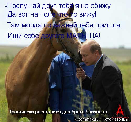 Котоматрица: -Послушай друг, тебя я не обижу Да вот на поле что-то вижу! Там морда по важней тебя пришла Ищи себе другого МАЛЫША! Трогически рассталися два