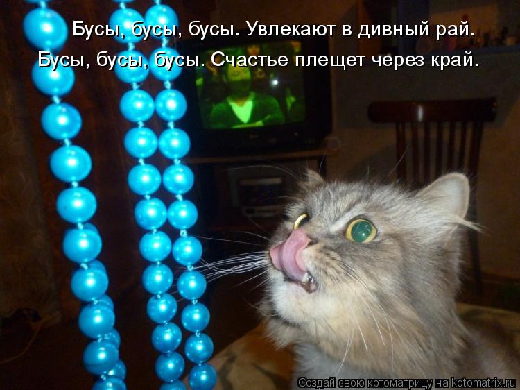 Котоматрица: Бусы, бусы, бусы… Увлекают в дивный рай. Бусы, бусы, бусы… Счастье плещет через край.