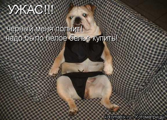 Котоматрица: чёрный меня полнит! надо было белое бельё купить! УЖАС!!!