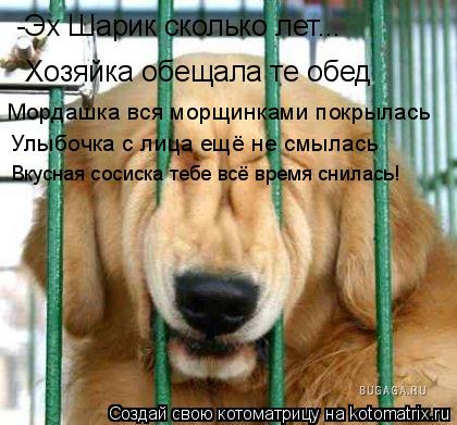 Котоматрица: -Эх Шарик сколько лет... Хозяйка обещала те обед Мордашка вся морщинками покрылась Улыбочка с лица ещё не смылась Вкусная сосиска тебе всё в