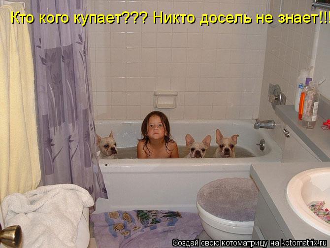 Котоматрица: Кто кого купает??? Никто досель не знает!!!