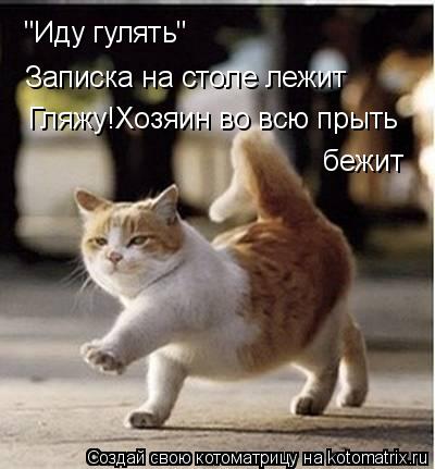 Котоматрица: "Иду гулять" Записка на столе лежит Гляжу!Хозяин во всю прыть  бежит