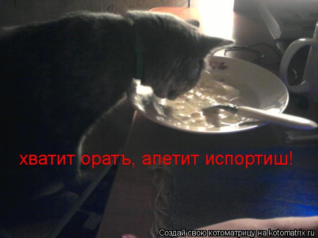 Котоматрица: хватит оратъ, апетит испортиш!