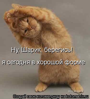 Котоматрица: Ну, Шарик, берегись!  я сегодня в хорошой форме