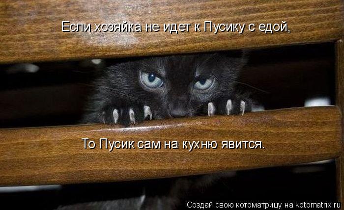 Котоматрица: Если хозяйка не идет к Пусику с едой, То Пусик сам на кухню явится.