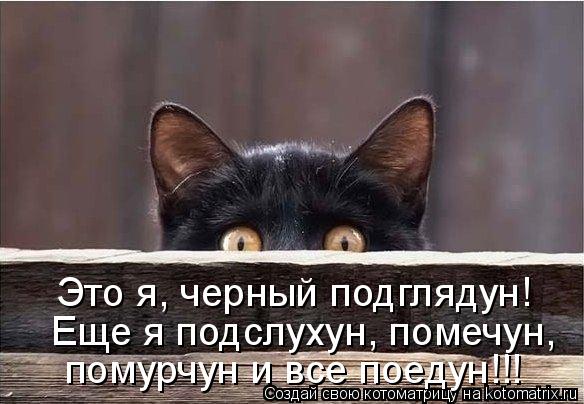 Котоматрица: помурчун и все поедун!!! Еще я подслухун, помечун,   Это я, черный подглядун!