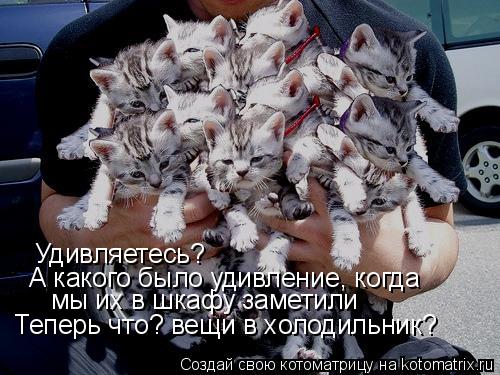 Котоматрица: Удивляетесь? А какого было удивление, когда мы их в шкафу заметили Теперь что? вещи в холодильник?