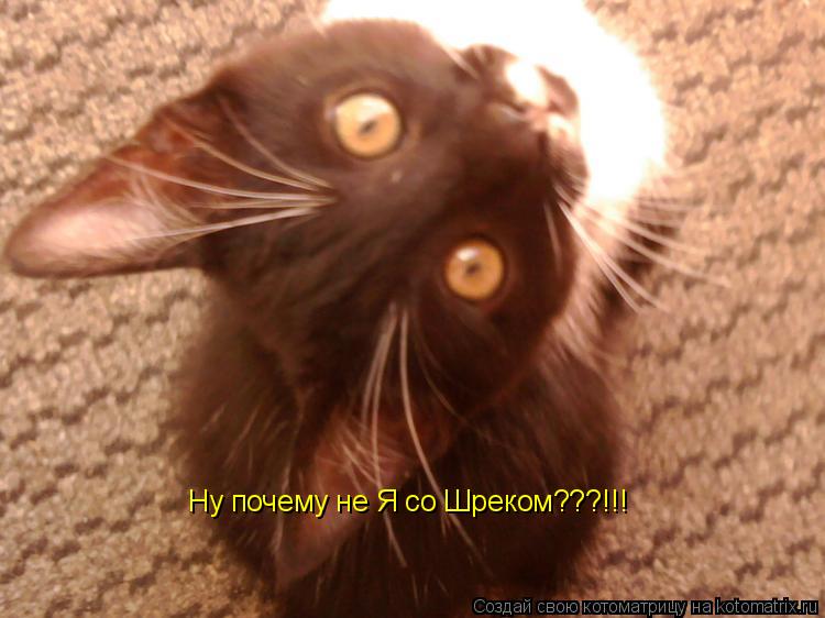 Котоматрица: Ну почему не Я со Шреком???!!!