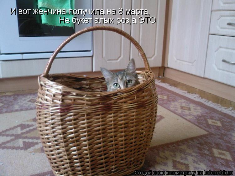 Котоматрица: И вот женчина получила на 8 марта, Не букет алых роз,а ЭЬ Не букет алых роз,а ЭТО
