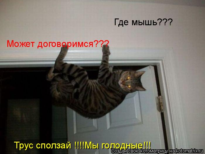Котоматрица: Где мышь??? Трус сползай !!!!Мы голодные!!! Может договоримся???