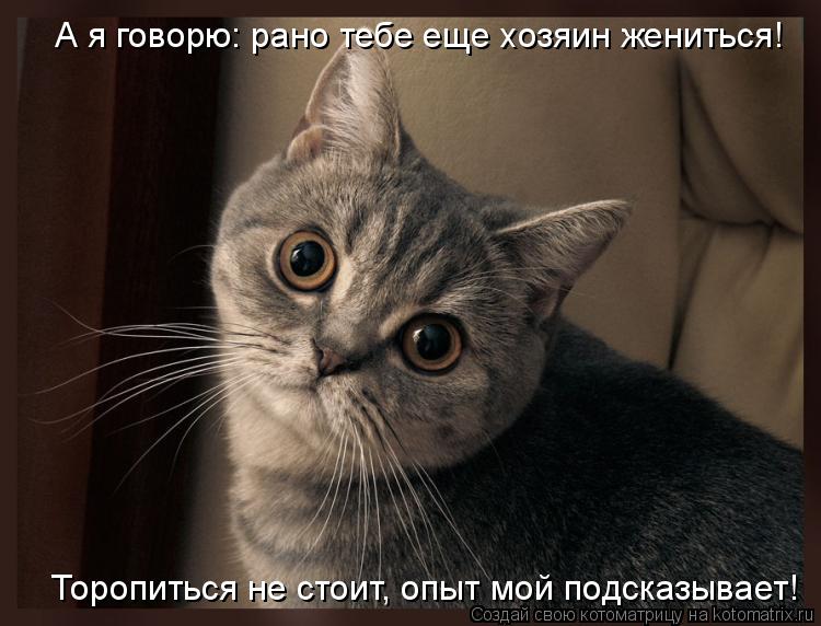 Котоматрица: А я говорю: рано тебе еще хозяин жениться! Торопиться не стоит, опыт мой подсказывает!