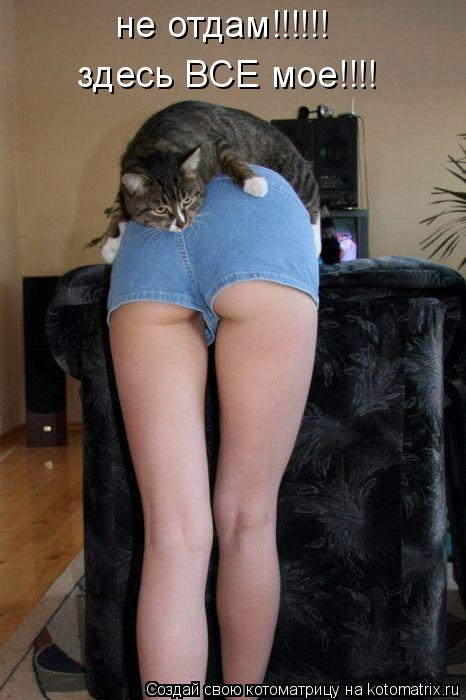 Котоматрица: не отдам!!!!!! здесь ВСЕ мое!!!!