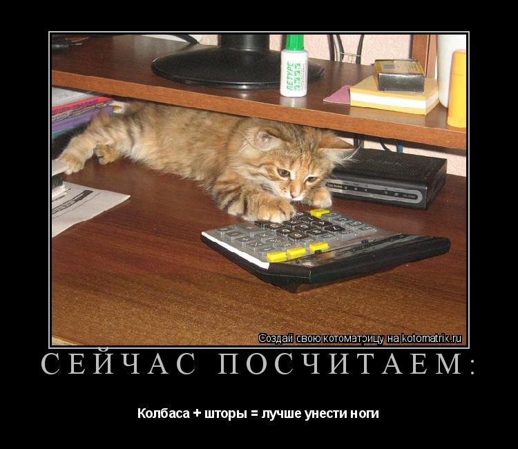Котоматрица: Сейчас посчитаем: Колбаса + шторы = лучше унести ноги