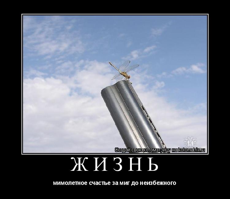 жизнь мимолетное счастье за миг до неизбежного... Котоматрица: жизнь мимолетное счастье за миг до неизбежного