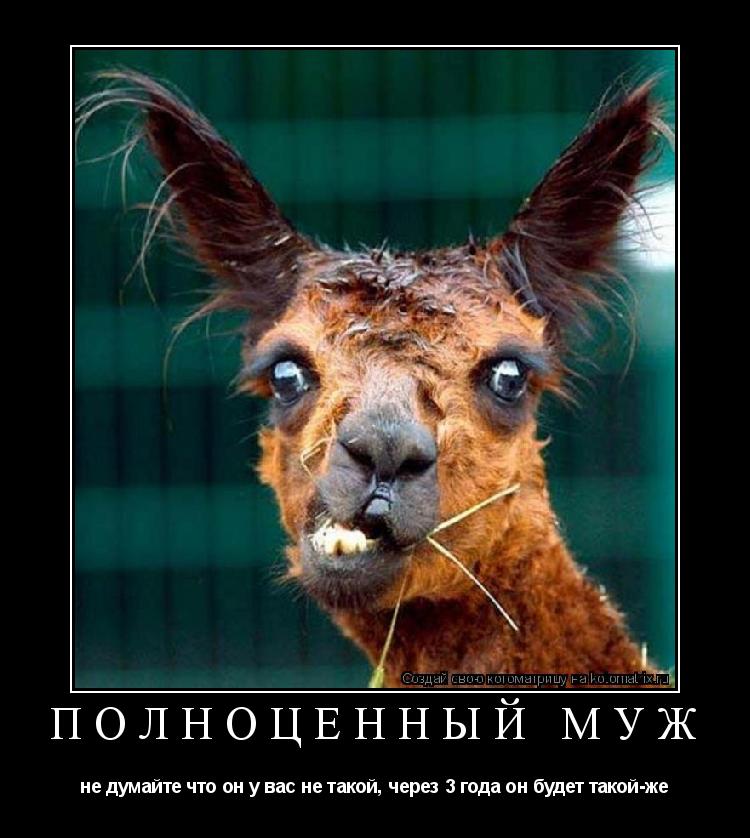 Котоматрица: полноценный муж не думайте что он у вас не такой, через 3 года он будет такой-же