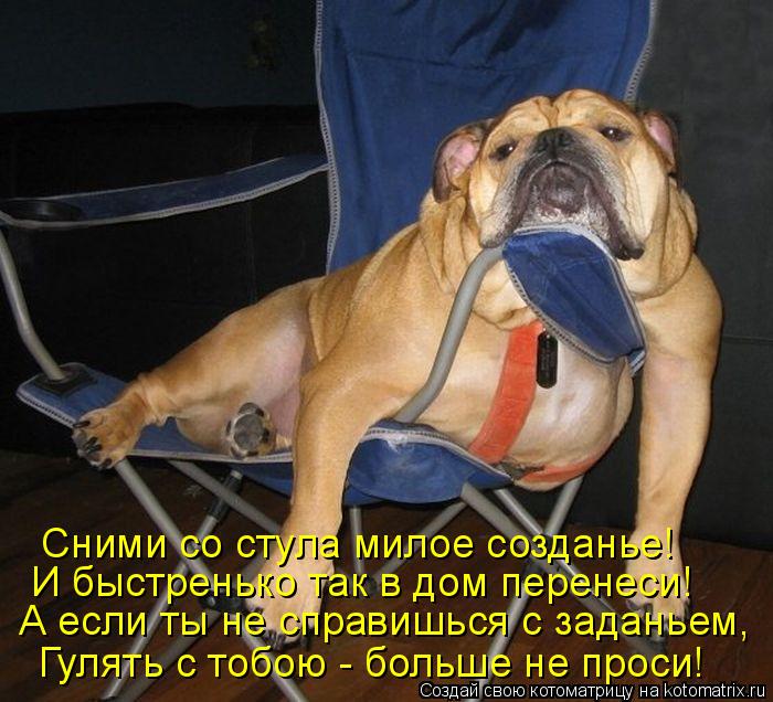 Котоматрица: А если ты не справишься с заданьем, И быстренько так в дом перенеси! Сними со стула милое созданье! Гулять с тобою - больше не проси!