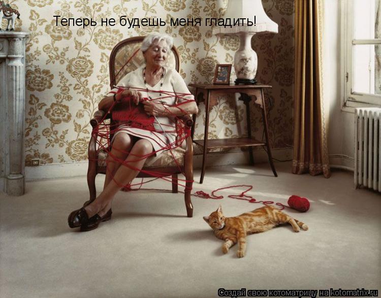Котоматрица: Теперь не будешь меня гладить!