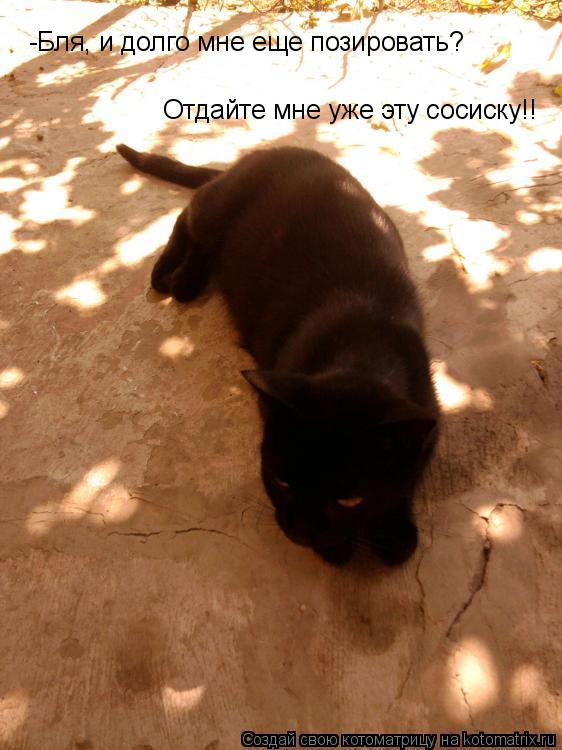 Котоматрица: -Бля, и долго мне еще позировать? Отдайте мне уже эту сосиску!!