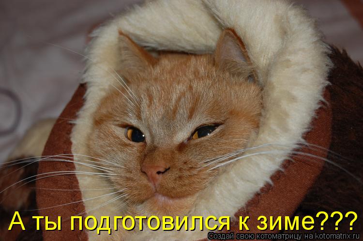 Котоматрица: А ты подготовился к зиме???