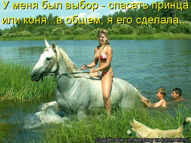Котоматрица: У меня был выбор - спасать принца  или коня...в общем, я его сделала...