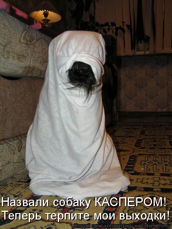 Котоматрица: Назвали собаку КАСПЕРОМ! Теперь терпите мои выходки!